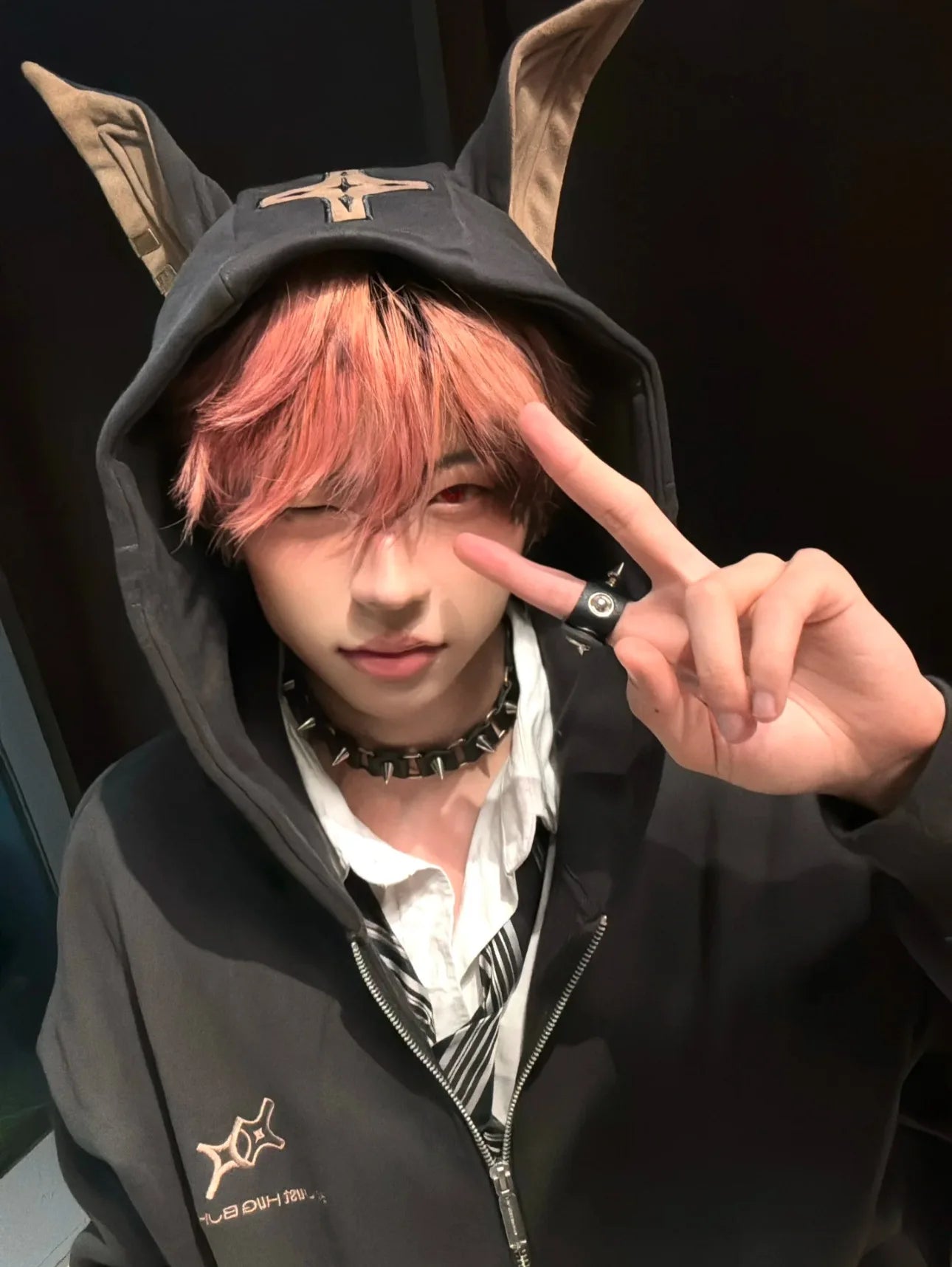 American Doberman Hoodie Men's Trendy Street Hiphop Coat Autumn Rascal Handsome Zipper Cardigan Loose Hip Hop Unisex Coat